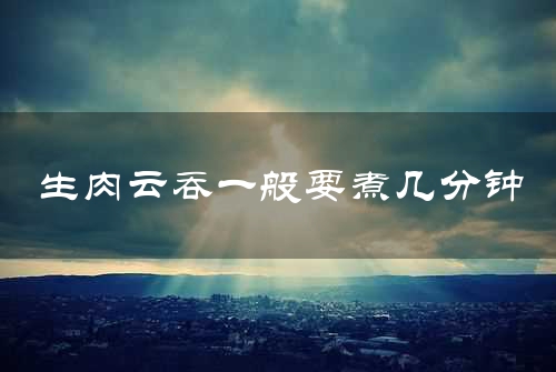 生肉云吞一般要煮几分钟