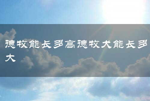 德牧能长多高德牧犬能长多大