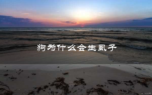 狗为什么会生虱子