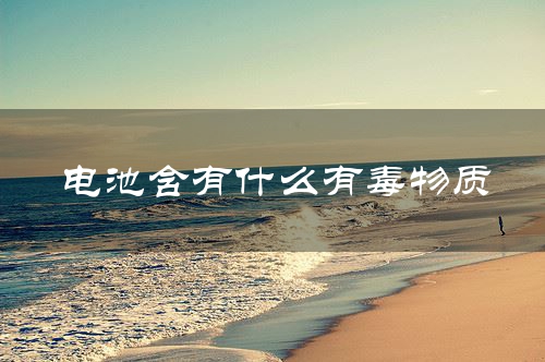 电池含有什么有毒物质
