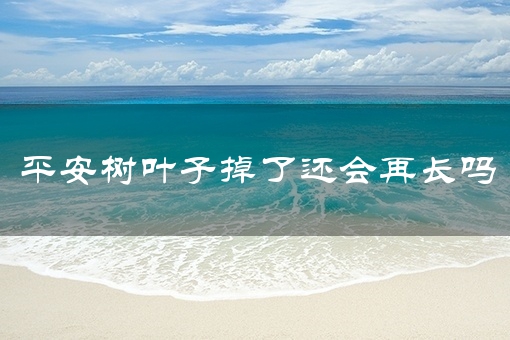平安树叶子掉了还会再长吗