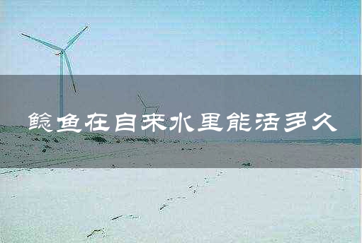 鲶鱼在自来水里能活多久