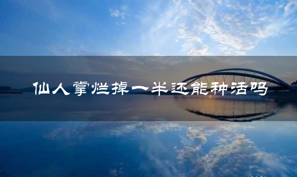 仙人掌烂掉一半还能种活吗