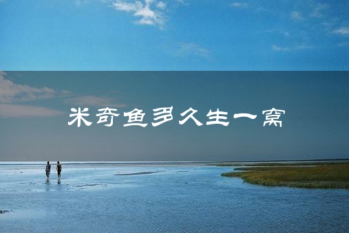 米奇鱼多久生一窝