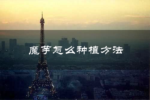 魔芋怎么种植方法