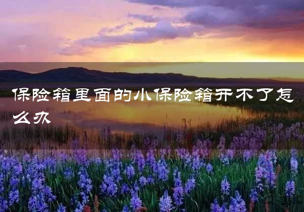 保险箱里面的小保险箱开不了怎么办