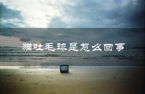 猫吐毛球是怎么回事