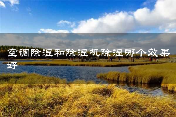 空调除湿和除湿机除湿哪个效果好