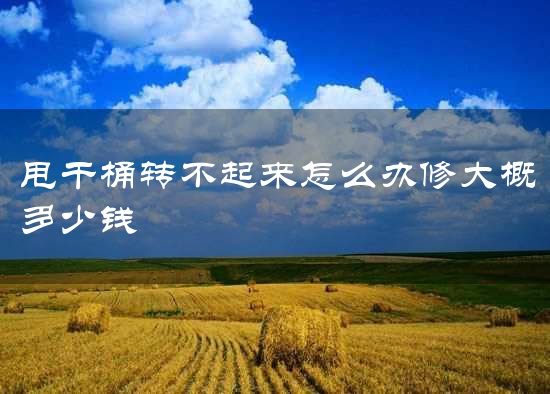 甩干桶转不起来怎么办修大概多少钱