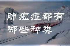 肺癌症都有哪些种类