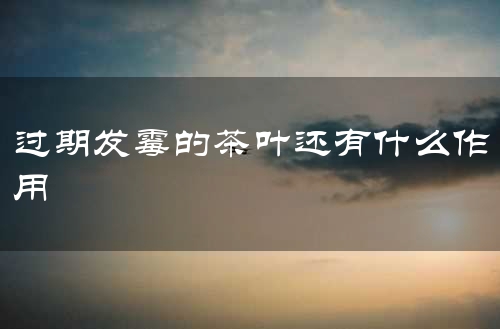 过期发霉的茶叶还有什么作用
