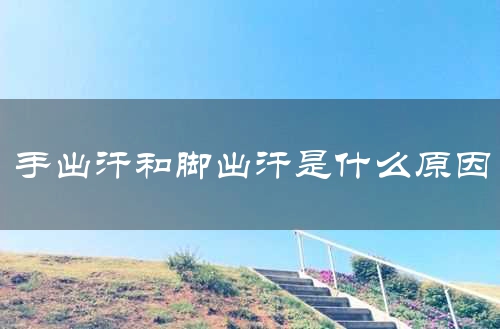 手出汗和脚出汗是什么原因