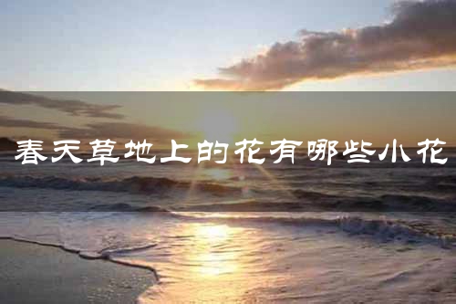 春天草地上的花有哪些小花
