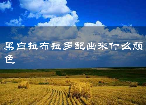 黑白拉布拉多配出来什么颜色