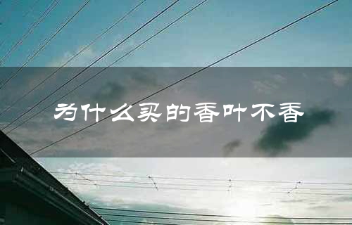 为什么买的香叶不香