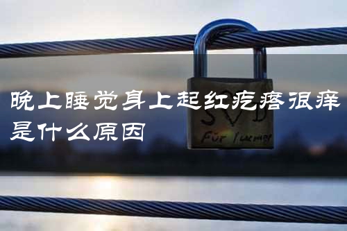 晚上睡觉身上起红疙瘩很痒是什么原因