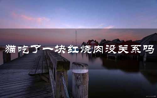 猫吃了一块红烧肉没关系吗