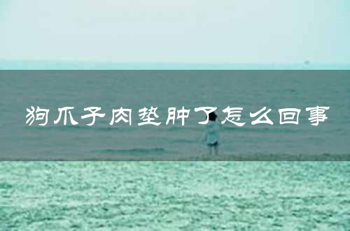 狗爪子肉垫肿了怎么回事