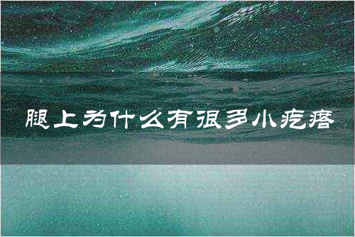 腿上为什么有很多小疙瘩