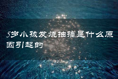 5岁小孩发烧抽搐是什么原因引起的