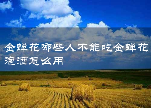 金蝉花哪些人不能吃金蝉花泡酒怎么用