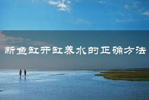 新鱼缸开缸养水的正确方法