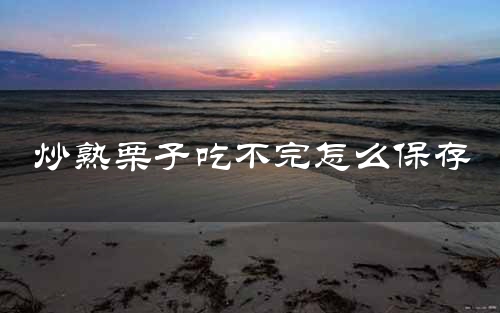 炒熟栗子吃不完怎么保存