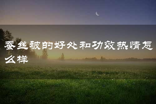 蚕丝被的好处和功效热情怎么样