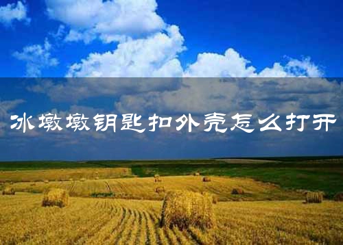 冰墩墩钥匙扣外壳怎么打开