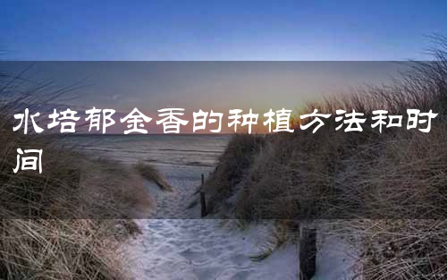 水培郁金香的种植方法和时间