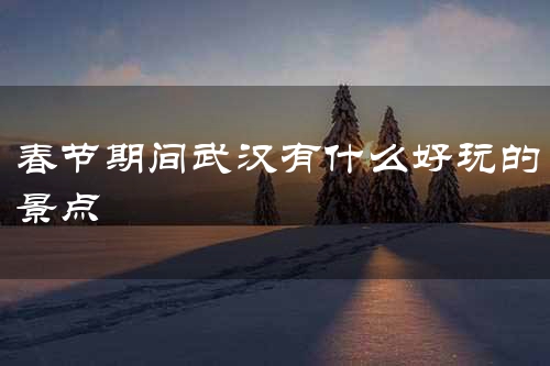 春节期间武汉有什么好玩的景点