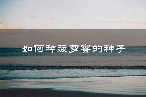 如何种菠萝蜜的种子