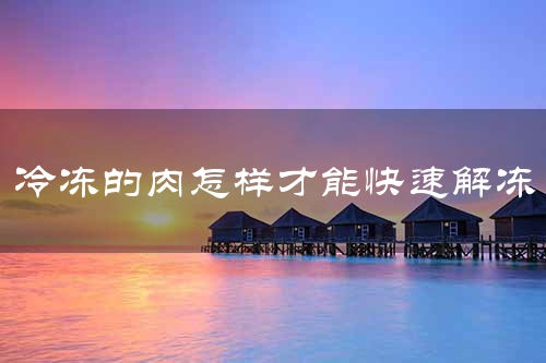 冷冻的肉怎样才能快速解冻