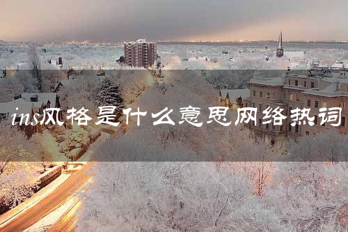 ins风格是什么意思网络热词