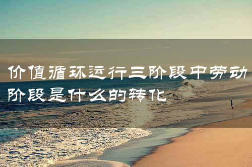 价值循环运行三阶段中劳动阶段是什么的转化