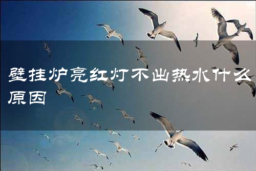 壁挂炉亮红灯不出热水什么原因