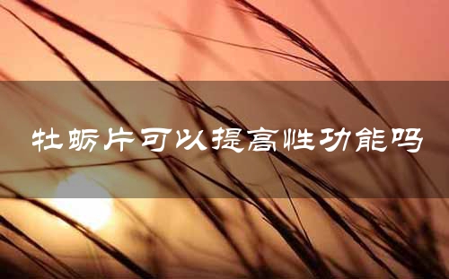 牡蛎片可以提高性功能吗