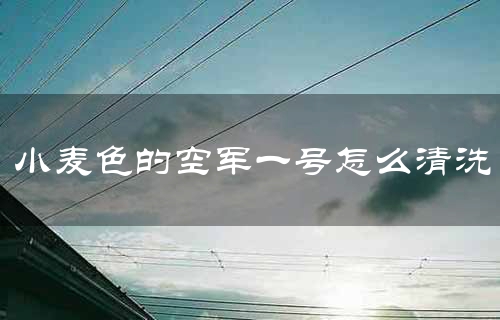 小麦色的空军一号怎么清洗