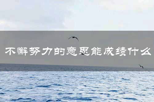 不懈努力的意思能成绩什么