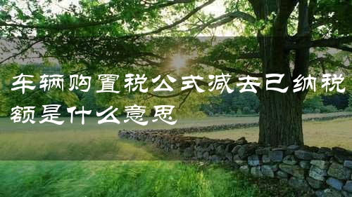 车辆购置税公式减去已纳税额是什么意思