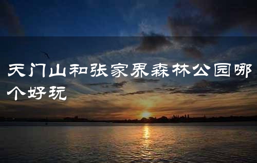 天门山和张家界森林公园哪个好玩