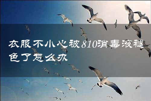 衣服不小心被810消毒液褪色了怎么办