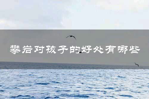 攀岩对孩子的好处有哪些