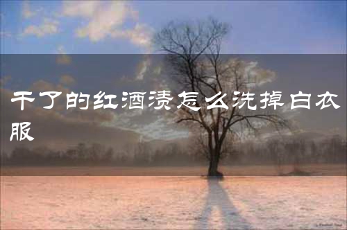 干了的红酒渍怎么洗掉白衣服