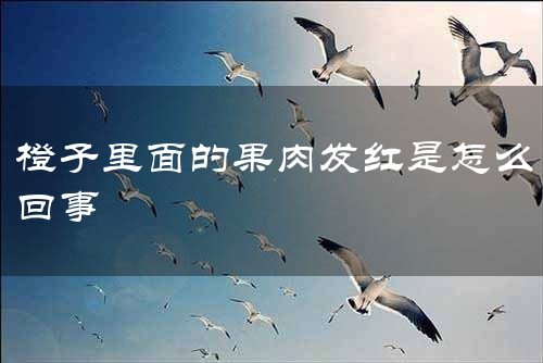 橙子里面的果肉发红是怎么回事