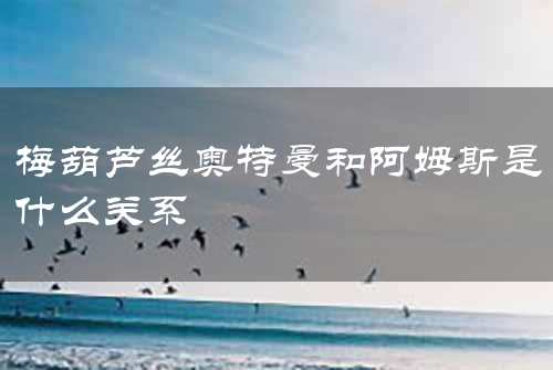 梅葫芦丝奥特曼和阿姆斯是什么关系