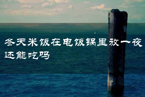 冬天米饭在电饭锅里放一夜还能吃吗