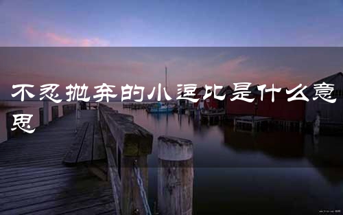 不忍抛弃的小逗比是什么意思
