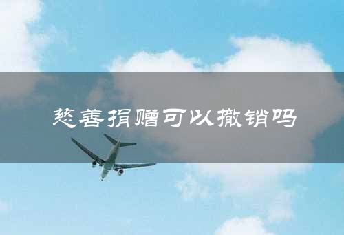 慈善捐赠可以撤销吗