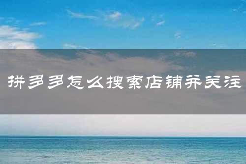 拼多多怎么搜索店铺并关注